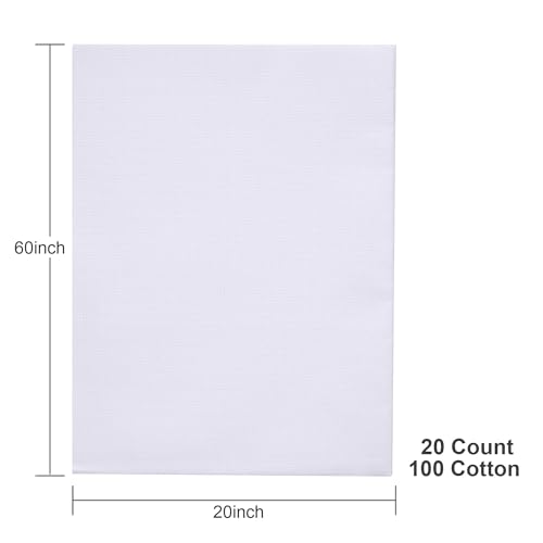 Aida Cloth 20 Count Cross Stitch Fabric,20×60inch (20CT,White) - color: White, size: 20CT
