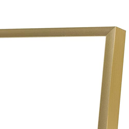 Golden State Art 8.5x11 Gold Aluminum Certificate Frame Real Glass Front - color: Gold (No Mat)