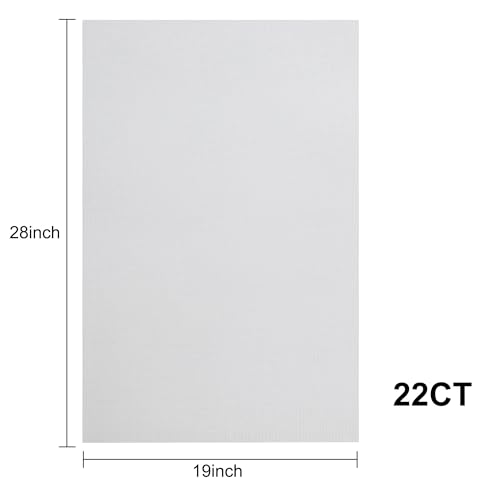Aida Cloth 22 Count Cross Stitch Fabric,19×28inch (22CT,White) - color: White, size: 22CT