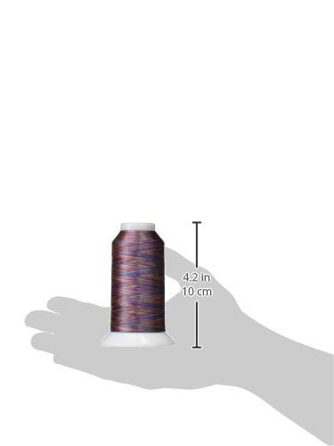 Superior Threads Fantastico 2-Ply 40-Weight High Strength Polyester Embroidery Quilting Sewing Thread - 2,000 Yard Cone (#5003 Magic Carpet) - color: Magic Carpet