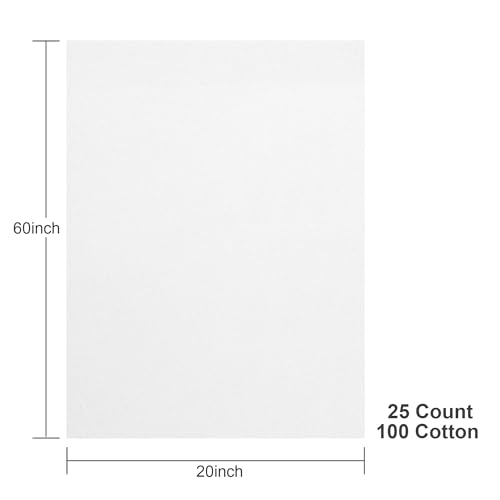 Aida Cloth 25 Count Cross Stitch Fabric,20×60inch (25CT,White) - color: White, size: 25CT