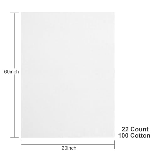 Aida Cloth 22 Count Cross Stitch Fabric,20×60inch (22CT,White) - color: White, size: 22CT