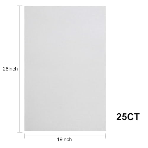 Aida Cloth 25 Count Cross Stitch Fabric,19×28inch (25CT,White) - color: White, size: 25CT
