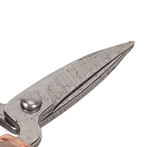 Mini Embroidery Scissors Stainless Steel