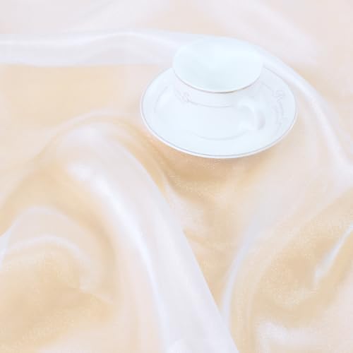 Manyshofu White Organza Fabric by The Yard, 60 Wide (1 Yard) - color: White, size: 1 Yard