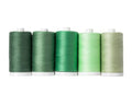 Connecting Threads Green Assorted 100% Cotton Thread Set - 5 Spools - color: Eucalyptus Grove