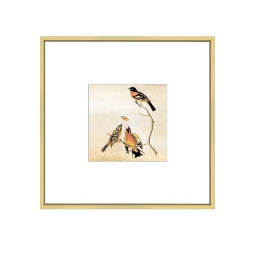 BKABOT 8x8 Brass Square Photo Frame HD Glass 1 Pack 5x5 Mat Tabletop Wall - color: Brass, size: 8x8-1P