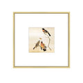 BKABOT 8x8 Brass Square Photo Frame HD Glass 1 Pack 5x5 Mat Tabletop Wall - color: Brass, size: 8x8-1P