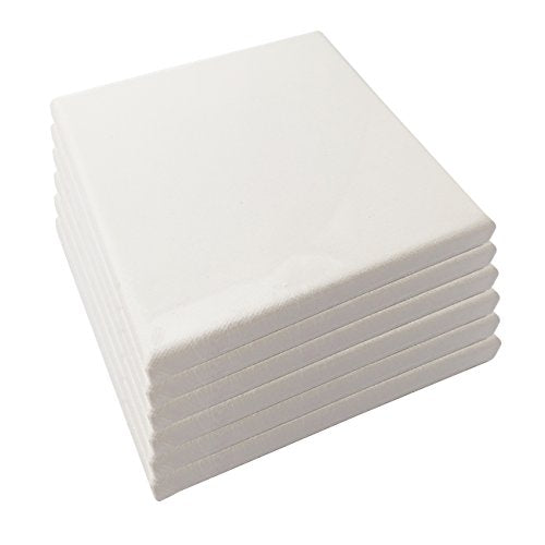 LWR CRAFTS Stretched Canvas 6" X 6" Pack of 6 - size: 6"x6"x6 (standard)