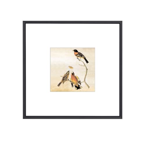 BKABOT 8x8 Black Square Picture Frame HD Glass 1Pack 5x5 Mat Wall Table - color: Black, size: 8x8-1P