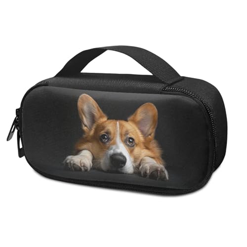 Corgi Dog Insulin Cooler Travel Case with Side Handle Diabetic Insulated Organizer Lightweight Cooling Travel Bag for Insulin Pen and Medication Diabetic Supplies - color: Corgi Dog