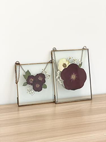 Glass Frame for Pressed Flowers, Leaf and Artwork - Hanging Square Metal Picture Frames, Double Glass Floating Frame, Wall Decor Photo Display, Flower Press Frames with Chain (Antique bronze, 8x8) - color: Antique bronze, size: 8x8