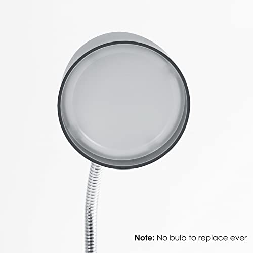 E ENERGETIC LIGHTING LED Desk Lamp, 3.5W 240LM 4000K Cool White Study Lamps for Bedroom and Office, Eye Protection, ETL Listed Silver Table lamp - color: Desk Lamp-Silver