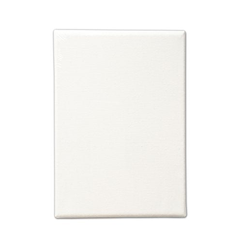 LWR CRAFTS Stretched Canvas 4" X 6" Pack of 6 - size: 4"x6"x6 (standard)