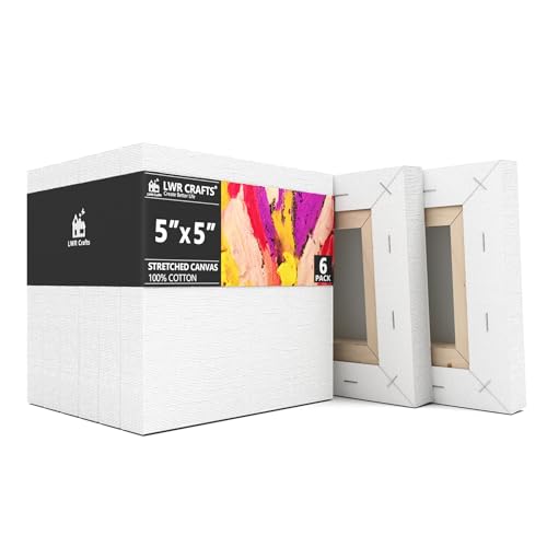 LWR CRAFTS Stretched Canvas 5" X 5" Pack of 6 - size: 5"x5"x6 (standard)