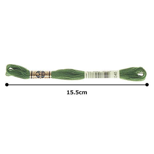 DMC 6-Strand Embroidery Cotton Floss, Dark Hunter Green - style: #3345 Green