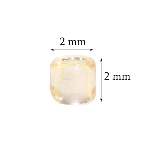 Glass Seed Beads Penta Angel 50g Mini Round Craft Loose Spacer Pony Beads for Earring Bracelets Necklace Waist Bead Jewelry Making(2mm, Champagne) - color: Champagne