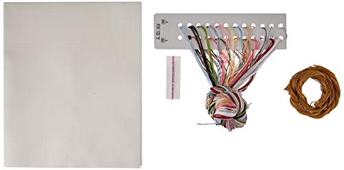 Janlynn 50577 Counted Cross Stitch Kit 13.25"X10", Wedding Collage (14 Count)