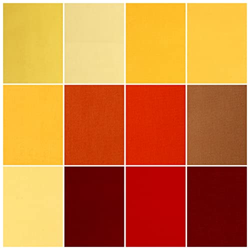 Hosuly 40 Pcs Fall Fabrics Orange Yellow Red Jelly Quilting Strips Roll - color: Fall Harvest