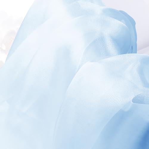 Manyshofu Baby Blue Organza Fabric by The Yard, 60 Wide (10 Yard) - color: Baby Blue, size: 10 Yard