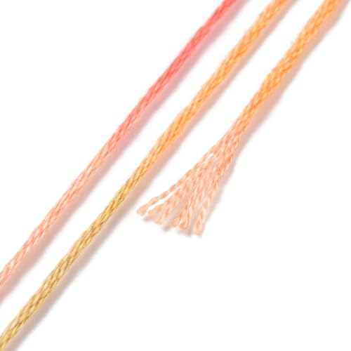 10 Skeins Sandy Brown 0.5mm 6-Ply Polyester Embroidery Floss Cross Stitch Threads Segment Dyed Gradient for DIY Craft Hand Sewing Knitting DIY Crafts Jewelry Making 8.75 Yards(8m)/Skein - color: Sandy Brown