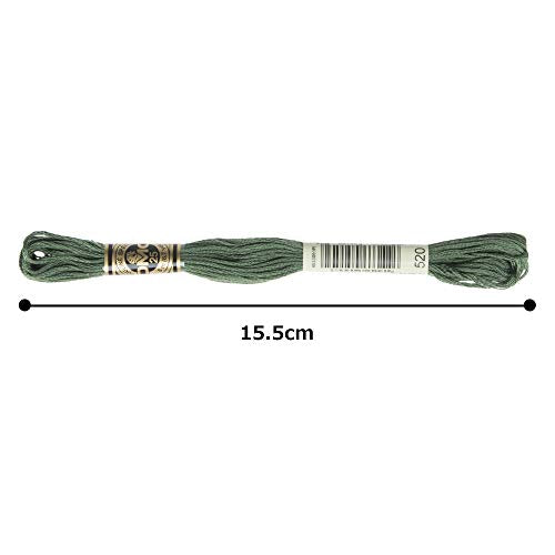 DMC 6-Strand Embroidery Cotton Floss, Dark Fern Green - style: #520 Green