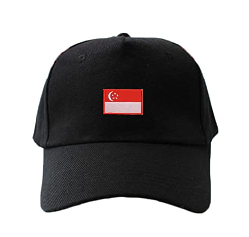 2 PCS Asia Flag Patches Hook and Loop Fastener Embroidered Tactical Military National Asia Patch (Singapore) - color: Singapore