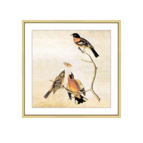 BKABOT 7x7 Brass Square Picture Frame HD Glass 1Pack 6x6 Mat Wall Table - color: Brass, size: 7x7-1P