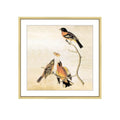 BKABOT 7x7 Brass Square Picture Frame HD Glass 1Pack 6x6 Mat Wall Table - color: Brass, size: 7x7-1P