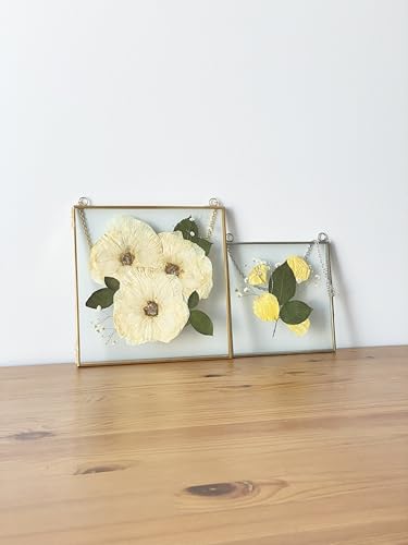 Glass Frame for Pressed Flowers, Leaf and Artwork - Hanging Square Metal Picture Frames, Clear Double Glass Floating Frame, Wall Decor Photo Display, Set of 2 Flower Press Frames with Chain (Gold, 10x10) - color: Gold, size: 10x10
