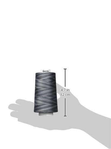 Signature 3 Ply Cotton Quilting Thread, 40wt/3000 yd, Variegated Smokey Blues 49S-M81