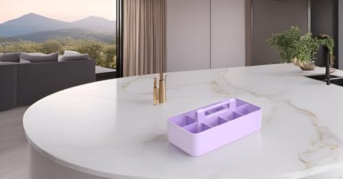 Plastic Portable Makeup Caddy Tote Divided Basket Bin with Handle, for Bathroom Storage - Holds Blush Makeup Brushes, Eyeshadow Palette, Lipstick - Extra Large Made In USA - color: Lavender