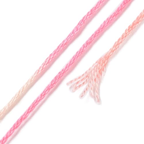 10 Skeins Pink 0.5mm 6-Ply Polyester Embroidery Floss Cross Stitch Threads Segment Dyed Gradient for DIY Craft Hand Sewing Knitting DIY Crafts Jewelry Making 8.75 Yards(8m)/Skein - color: Pink