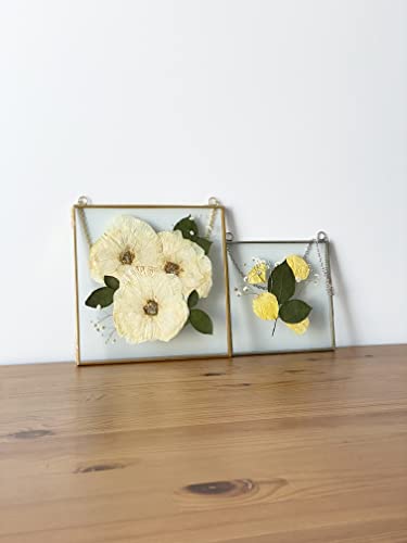 Glass Frame for Pressed Flowers, Leaf and Artwork - Hanging Square Metal Picture Frames, Clear Double Glass Floating Frame, Wall Decor Photo Display, Set of 2 Flower Press Frames with Chain (Silver, 6x6) - color: Chrome, size: 6x6