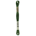 Dmc 6-Strand Embroidery Cotton 8.7yd-Very Dark Forest Green