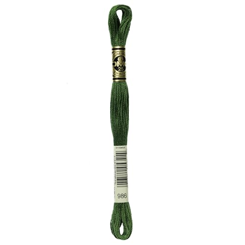 Dmc 6-Strand Embroidery Cotton 8.7yd-Very Dark Forest Green