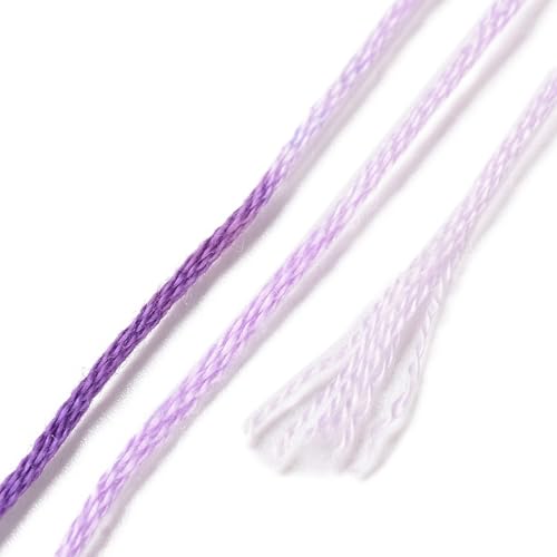8 Skeins 8 Colors 6-Ply Polyester Embroidery Floss Cross Stitch Threads Segment Dyed Gradient Color for Jewelry Making Bracelet Stitching Craft Supply 0.5mm,Rainbow Color - color: 8 Skeins,rainbow Color