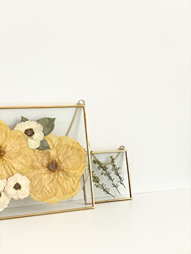 Beedecor Double Glass Frame for Pressed Flowers, Polaroid Photo and Artwork,Hanging Pressed Flower Frames,Wall Decor Clear Floating Frame Display for Kids Art and Memento (Gold, 4x4) - color: Gold, size: 4x4