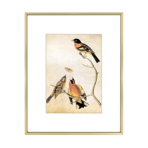 BKABOT 8x10 Brass Aluminum Picture Frames With 5x7 Mat Wall Table Display - color: Brass, size: 8x10-1P
