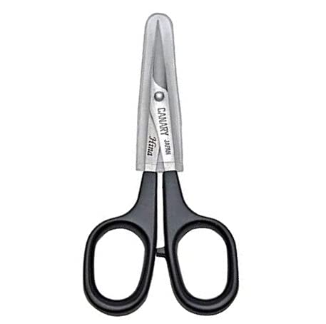 CANARY Paper Art Scissors 4", Mini Precision Scissors for Paper Cutting Art, Cutouts, Lace, Crafts, Kirie, Made in Japan - size: Papercutting Art (Beginner)