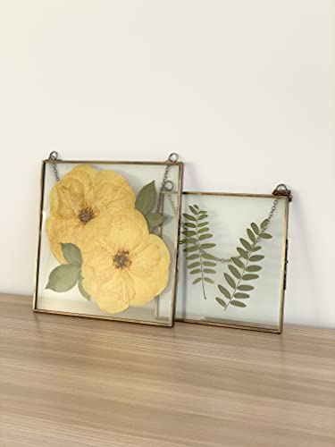 Glass Frame for Pressed Flowers, Leaf and Artwork - Hanging Square Metal Picture Frames, Double Glass Floating Frame, Wall Decor Photo Display, Flower Press Frames with Chain (Antique bronze, 8x8) - color: Antique bronze, size: 8x8