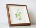 9x9 Wooden Picture Frame with 7x7 mat, 9x9 Square Picture Frame with Glass, For Wall and Desktop Display, Wood Photo Frame - size: 9X9