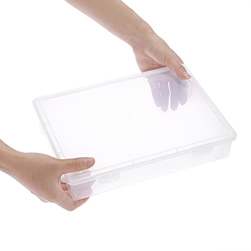 BTSKY Clear Plastic Storage Box with Flap Lid,2 Pack Medium-10.8"x7.9"x2.1" - size: Medium-2 Pack