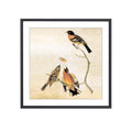 BKABOT 7x7 Black Square Picture Frame HD Glass 1Pack 6x6 Mat Wall Table - color: Black, size: 7x7-1P