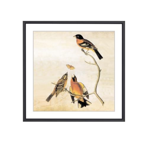 BKABOT 7x7 Black Square Picture Frame HD Glass 1Pack 6x6 Mat Wall Table - color: Black, size: 7x7-1P