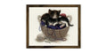 RIOLIS 1724 Kittens in A Basket Counted Cross Stitch Kit 11.81 x 9.45 in - style: Kittens In A Basket 1724