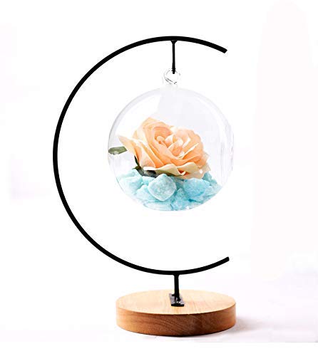 YY YEARCHY 11-inch Ornament Display Stand with Wooden Base Metal Hook Tabletop Holder for Hanging Glass Globe Ball Gifts(1, Black) - color: Black