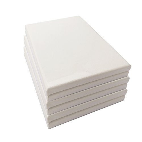 LWR CRAFTS Stretched Canvas 6" X 8" Pack of 6 - size: 6"x8"x6 (standard)