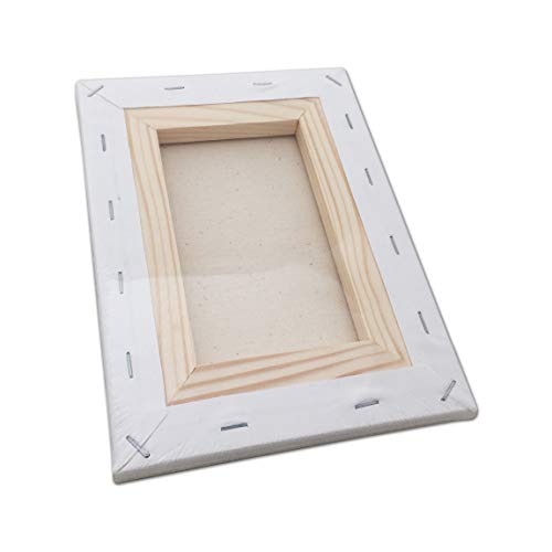 LWR CRAFTS Stretched Canvas 4" X 6" Pack of 6 - size: 4"x6"x6 (standard)