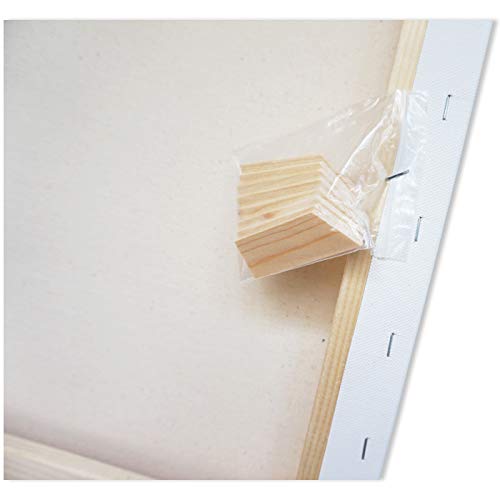 LWR CRAFTS Stretched Canvas 8" X 10" Pack of 6 - size: 8"x10"x6 (standard)